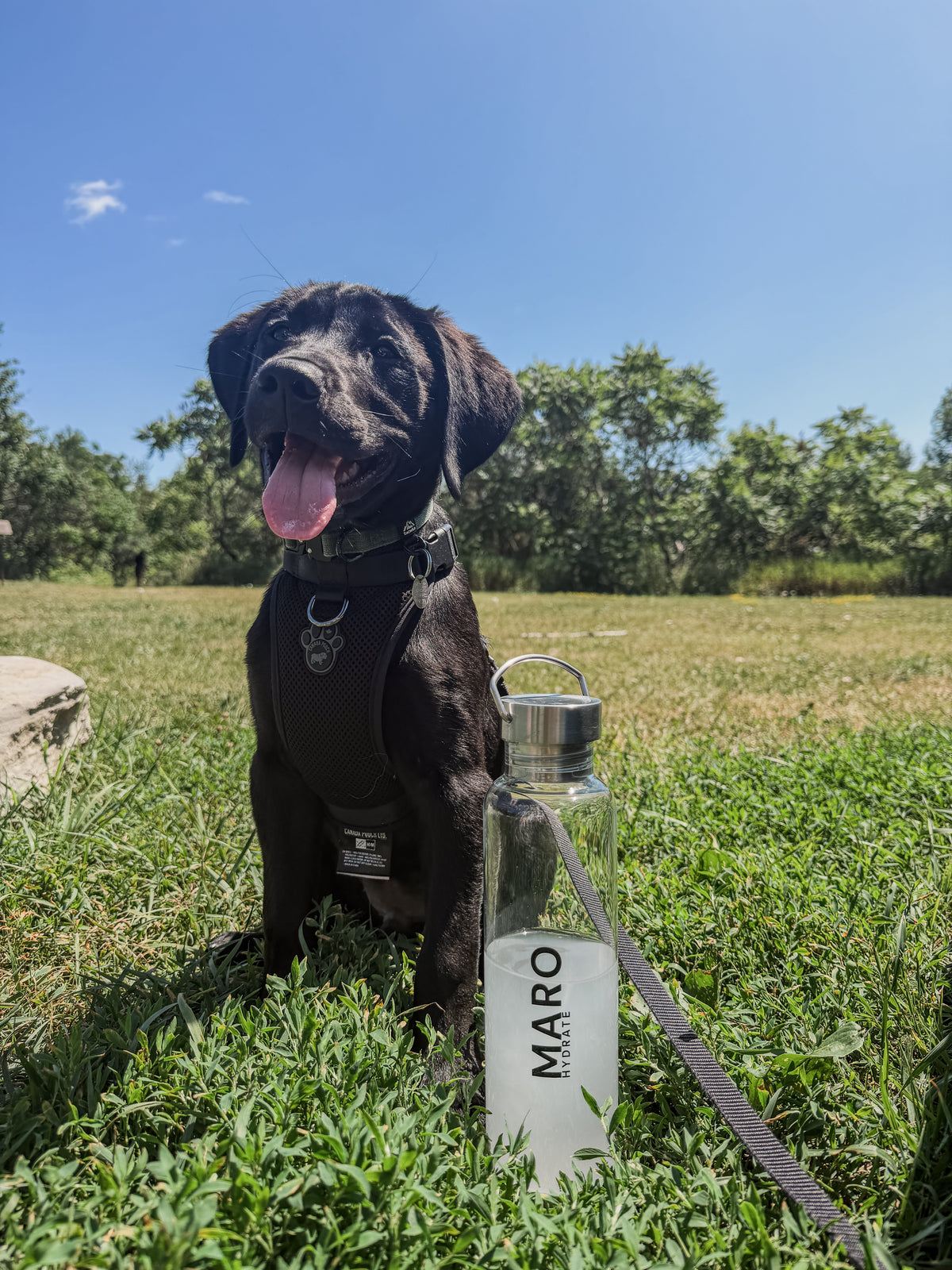 MARO Hydrate